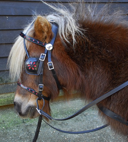 Miniature leather harness - miniature,