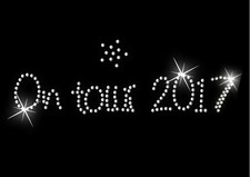 On Tour 2018 Iron on Hen Night