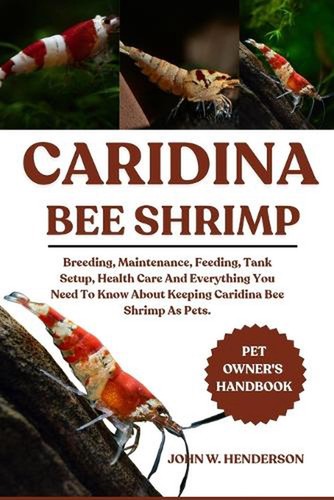 Caridina bee shrimp breeding - caridina,