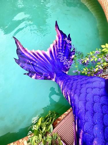 Women mermaid fin - fin,
