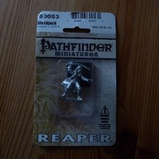 Reaper Miniatures Pathfinder