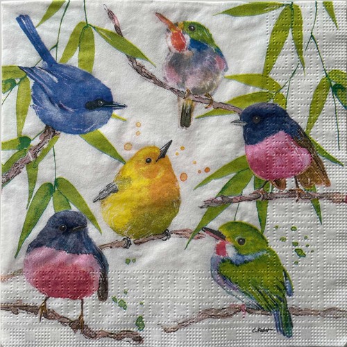 Luncheon paper napkins bird - 2,