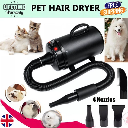 New pet hair - hair, cat