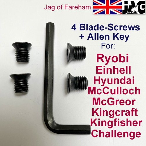 Shredder screws allen - 4, key