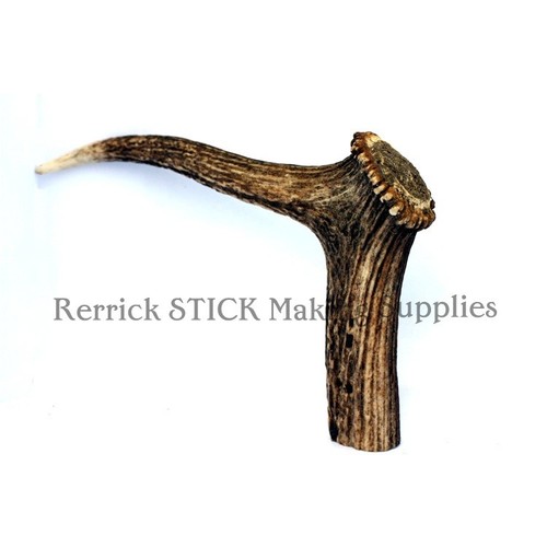 Stag horn coronet handle - horn,