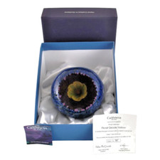 Caithness Floral Geode Yellow Paperweight Limited Edition 35/100 Helen MacDonald