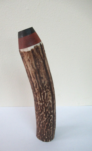 Red deer stag antler - deer,