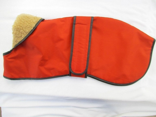 53cm whippet coat indian - 21",