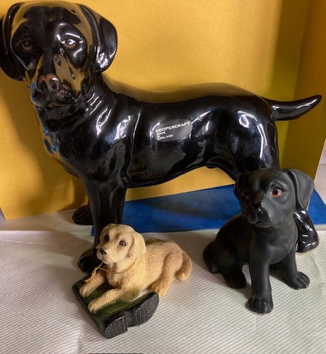 Labrador retriever dogs - 3,