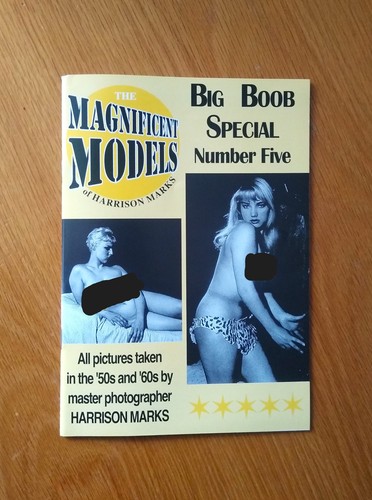 The magnificent models - the,