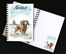 Dachshund (Long Haired) Red