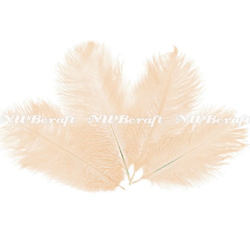 Cream natural genuine ostrich - natural,