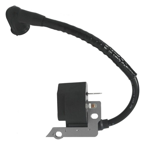 Ignition coil assembly for - ignition,