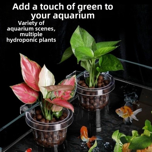 Clear fish tank grass - clear,