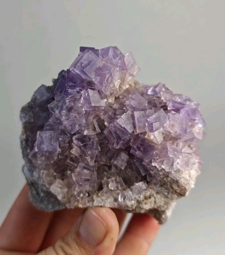 Purple fluorite level with - fluorite,