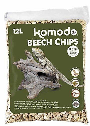 Komodo reptile beech - reptile, chips