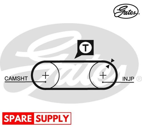 Timing belt for california - belt, vw