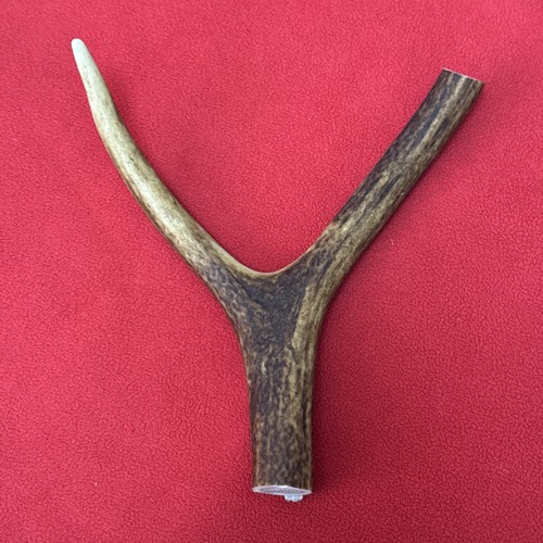 One piece deer antler y - piece, of