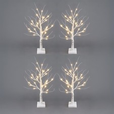2ft white twig - 2ft, tree