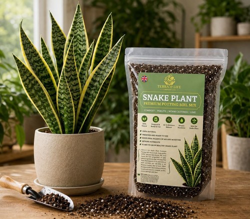 Terra life company snake - terra, &