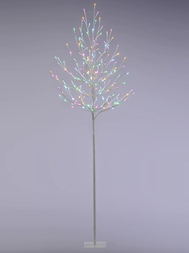 Festive indoor outdoor - or,