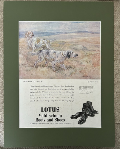 Antique dog print - dog, c1950