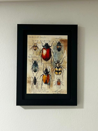 Vintage beetles illustration - beetles,