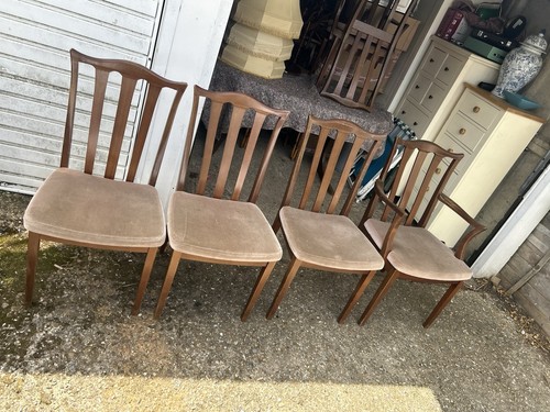 Plan dining chairs brasilia - g,