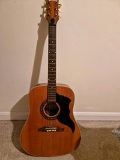 EKO Acoustic Guitar