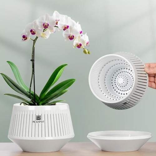 Meshpot orchid pot with holes - meshpot,