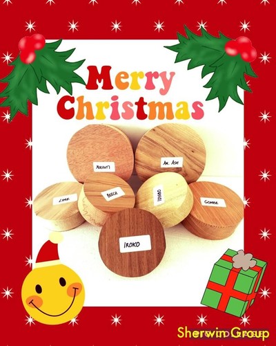 Woodturning bowl blanks gift - woodturning,