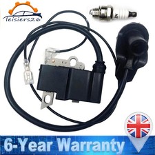 Ignition Coil Module With