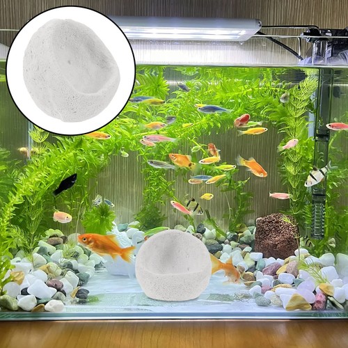 Aquarium anemone accessories - ,