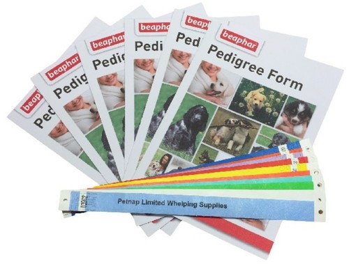 Whelping box kit puppy - whelping, 10