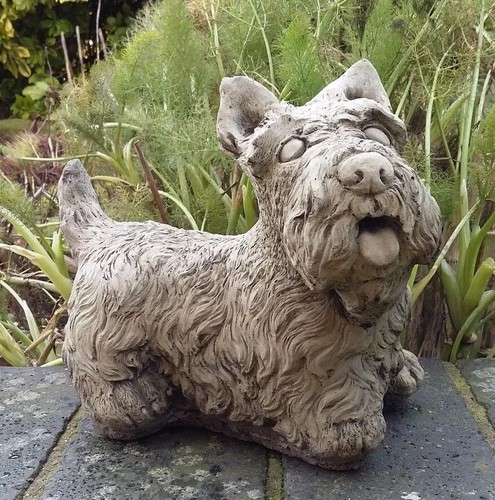 Stone garden scottish - 🇬🇧stone,