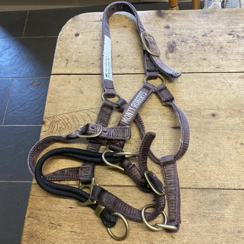Monty roberts dually - roberts,