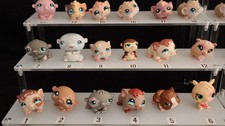 Lps hamsters, guinea pig, rodents littlest pet shop original authentic hasbro,
