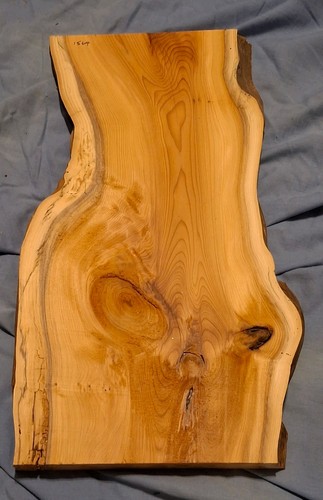 Rustic yew waney - waney, 24mm