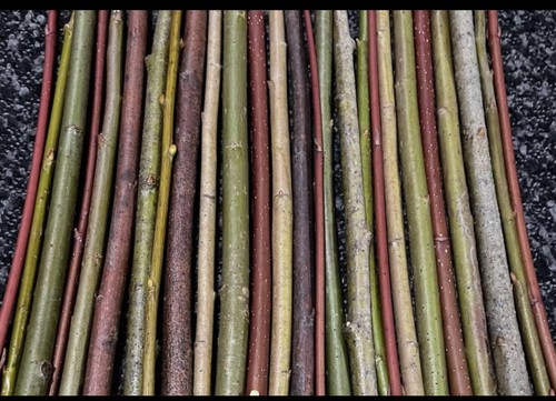 Organic willow cuttings basket - organic,