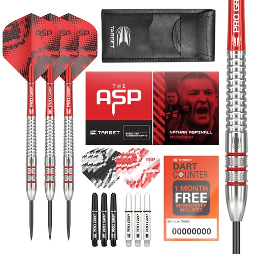 Darts nathan aspinall 24g - 24g, 80%