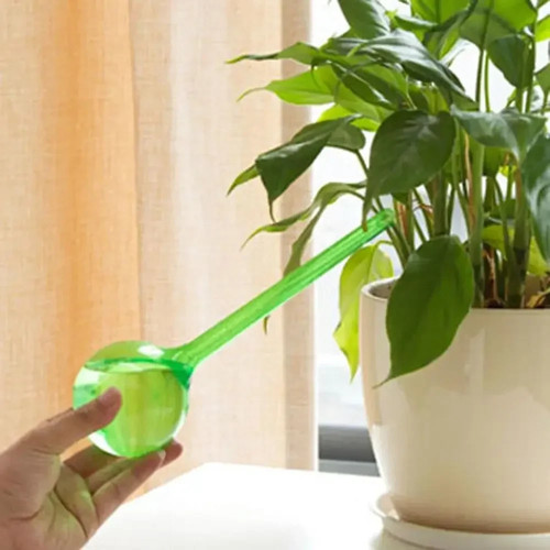 Plant self watering - self, bulb