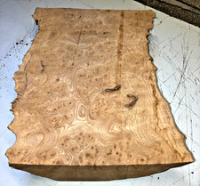 260X80X410MM LOT 529A BURR ELM