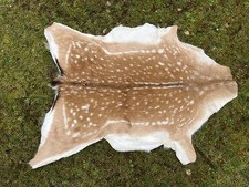 Nice New Real Summer Fallow