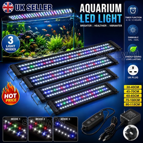 Aquarium fish tank - aquarium,