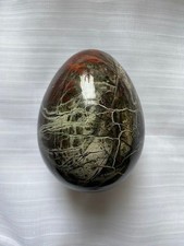 Jasperized Petrified Wood Egg