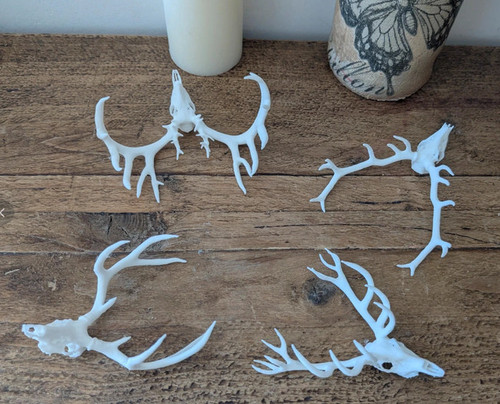 Four mini deer skull - mini,