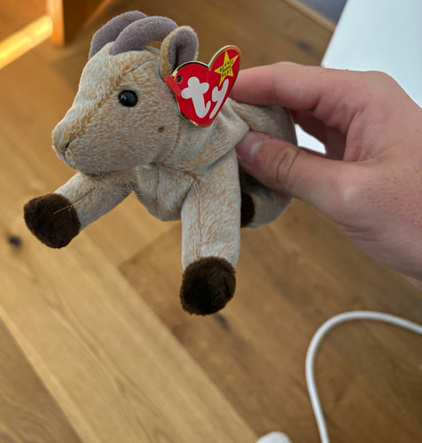 Beanie babies goatee goat - ty,