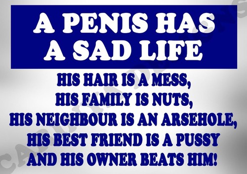 Penis funny metal sign - , joke
