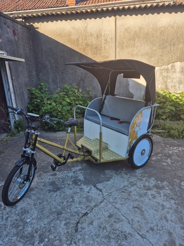 Maxpro ecotaxi - maxpro,