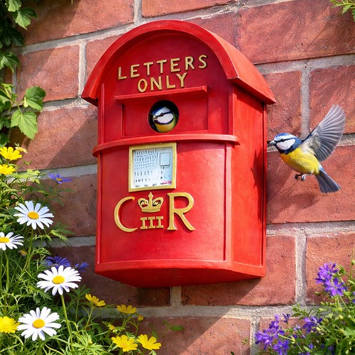 Post box bird - bird,